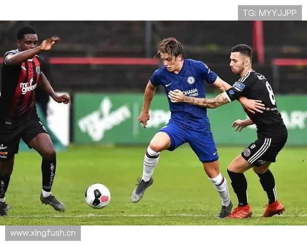 乔什·布朗希尔本赛季表现稳健，攻防两端持续提升