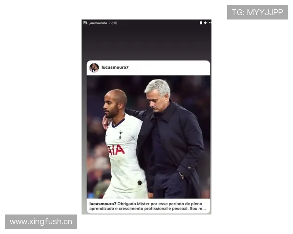 个人表现与团队成绩:麦迪逊的生涯评估 个人表现与团队成绩:麦迪逊的生涯评估